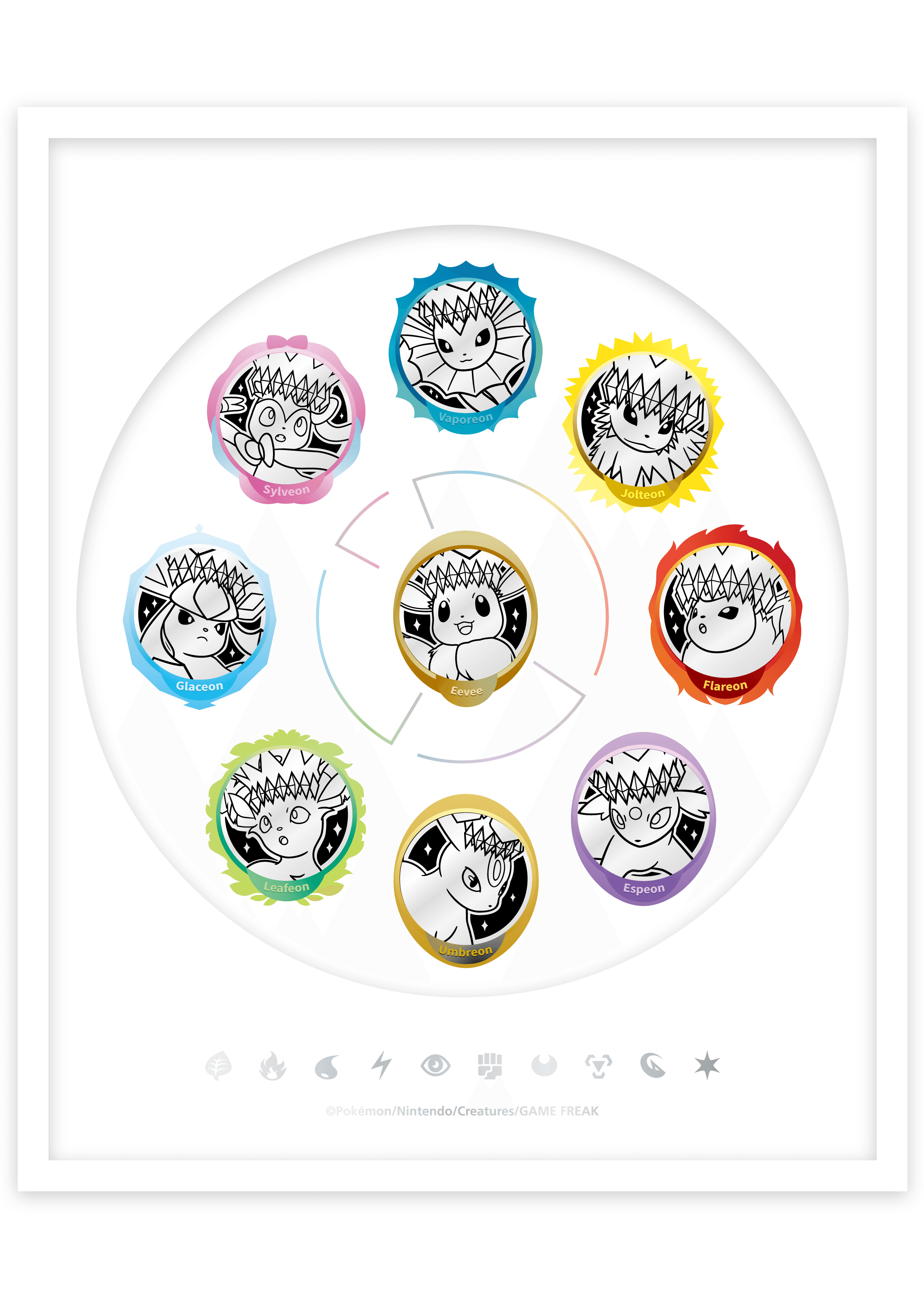 Tapa protectora transparente para exhibir la colección de monedas