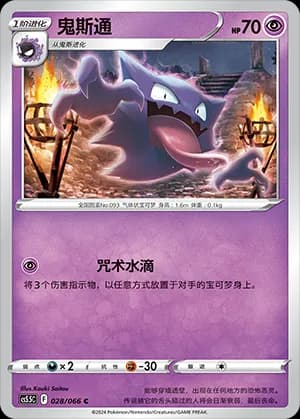 Haunter — C 028 (Sword & Shield Era)