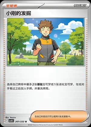Brock's Scouting — U 207 (Scarlet & Violet Era)