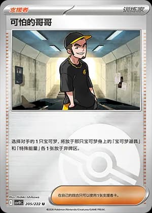 Ruffian — U 205 Poké Ball (Scarlet & Violet Era)