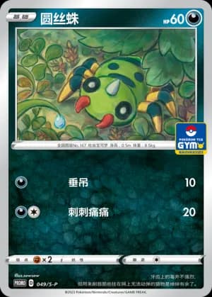 Spinarak — PROMO 049 Holo (Sword & Shield Era)